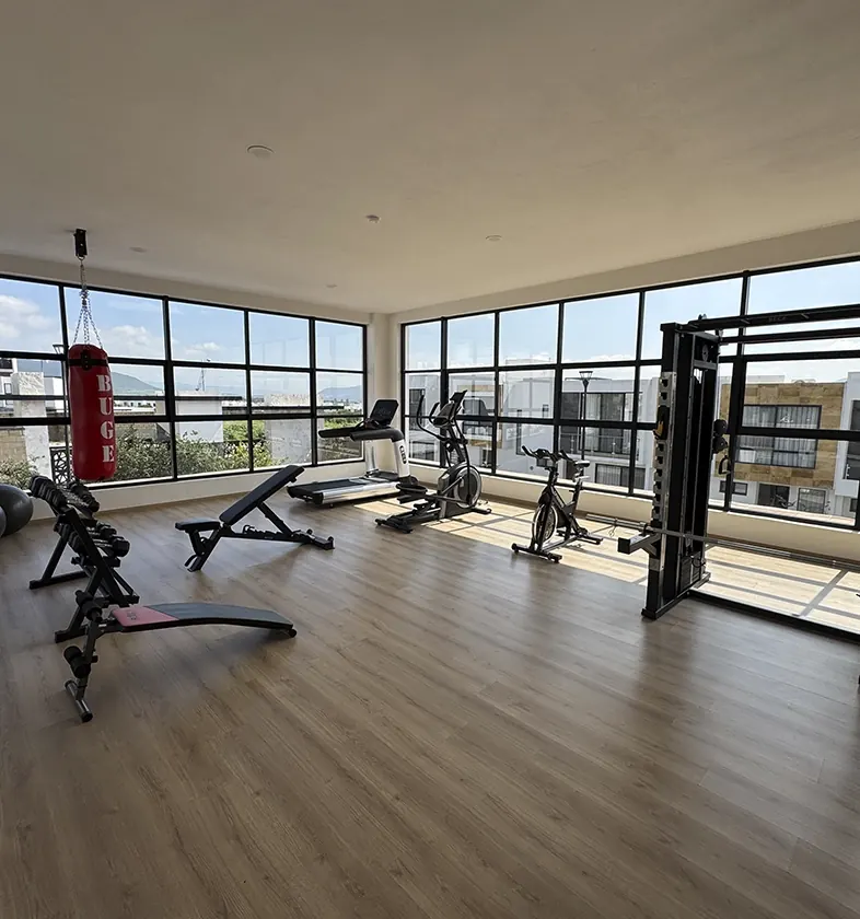 Gimnasio